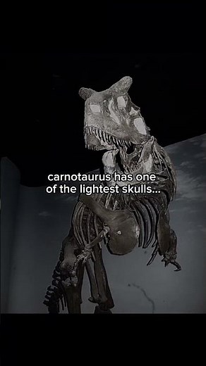 carnotaurus facts (dinosaur)