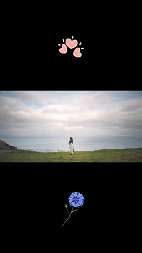 It’s time for another of our Top 20 Favorite Sanditon Scenes, as voted upon by you, #BeyondSanditon! 💙This scene is from Season 3, Episode 3. “Stay. Make a life with me.” #BringBackSanditon https://www.ipetitions.com/petition/because-the-journey-beyond-sanditon-has-only-just Sanditon clip property of Red Planet Pictures | Bring Back Sanditon Global Campaign