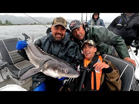 Columbia River Keeper Sturgeon