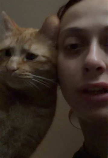 უბრალოდ ხორცი უნდა