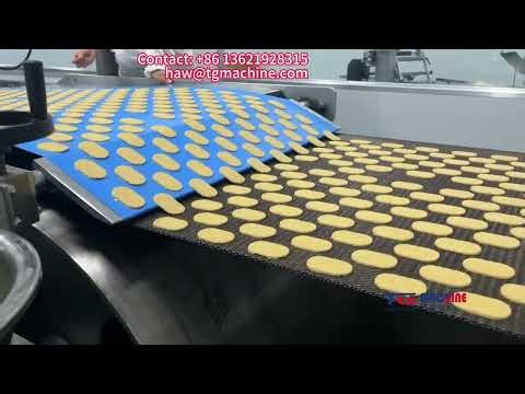Fully Automated Biscuit Production Line: Proven Efficiency in Real-World Operations