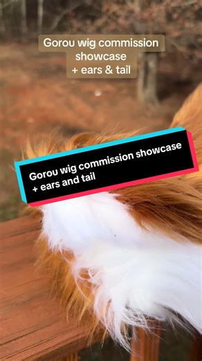 Gorou genshin impact wig commission showcase ears and tail! This wig was so fun to style and I learned so many new techniques while making the ears and tail with my partner 🥰💜 I can’t wait to make another pair! #wigcommission #cosplaywigstyling #genshingorou #genshincosplay #gorougenshin