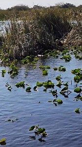 32K views · 631 reactions | What a sight! Captain Jason captured this...