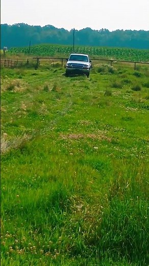 1999 FORD RANGER For Sale