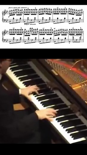 Liszt hungarian rhapsody no. 6 One of the most difficult piano pieces Franz liszt 🎹 . . . . . #piano #music #pianist #musician #guitar #pianocover #pianomusic #pianoplayer #musica #classicalmusic #violin #singer #love #jazz #cover #drums #bass #keyboard #art #song #pianoforte #pianosolo #musicians #pianolessons #instamusic #artist #concert #producer #composer #rock #franzliszt #liszt