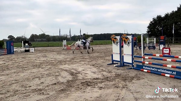 Appaloosa Showjumping: Progress in Training