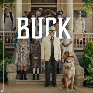 4.9K views · 83 reactions | Cute dog? What other reason do you need?!  | 20th Century Studios | Facebook