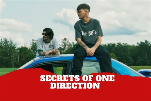 Former One Direction members will share unseen moments from the band on Netflix