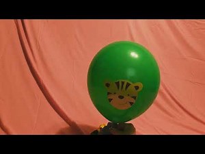 ZOO AMIMAL BALLOON INFLATION AND DEFLATION!!!