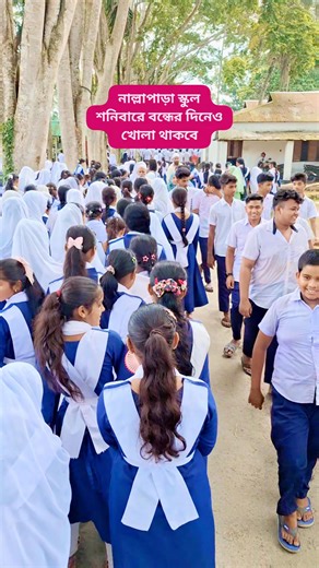 10K views · 394 reactions | নাল্লাপাড়া স্কুল শনিবারে বন্ধের দিনেও খোলা থাকবে। #নাল্লাপাড়া #স্কুল #টাঙ্গাইল #trendingreels #reelsviral | Jahirul Science Tutorial | Facebook