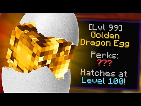 Hatching the GOLDEN Dragon Egg! (Hypixel SkyBlock)