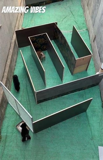 Puzzle game with dogs kids