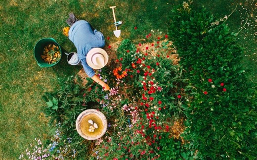 Ruud Kleinpaste: Feeding your plants this summer