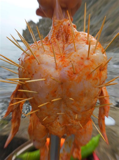 #creatorsearchinsights Whole Chicken Tandoori Biryani Fry #tandoori #biryani #chicken #fry #cook #chickenlegpiece #chickenwings #outdoorcooking #campinglife #wilderness #survival #indianstreetfood #koreanfood #japanesefood #turkishfood #indianfood