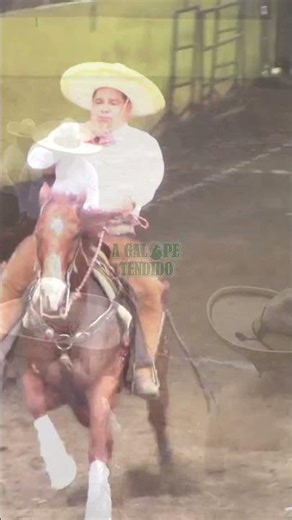 To leave a mark on the canvases of life, a 20-meter point for Francisco Estrada's horse