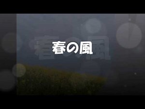 春の風