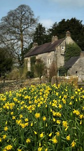 Who’s looking forward to it? And, Yes, it can snow in Spring .. 💁🏻‍♀️😂 that footage is proof! 😅 Something to look forward too! Have a super Springy evening xx Countryside & Farm Life | Rural Life | Peak District | Peak District National Park | Staffordshire | Derbyshire | England | Places to Visit UK | English Countryside | English Village Scenes | Pretty Places | Countryside Views & Scenery | Country Lanes | Cottage Core | English Houses & Cottages | Countryside Walks | Slow Living | Cozy V