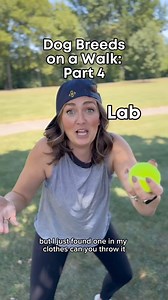 554K views · 42K reactions | Watch until the end to meet our new permanent character : Bella the 18yo crusty chiweenie! #dogs #dog #dogbreeds #dogbreedhumor #vetmed #drmollysays #funny | drmollysays | Facebook