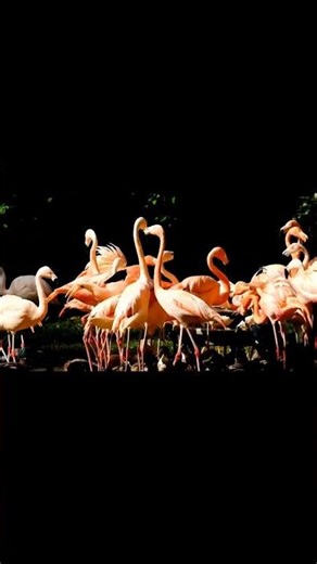 These 5 Cultural Traditions Are Hilariously Perfect #culture #humor #facts