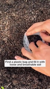 16K views · 198 reactions | Rose extract with banana #gardeningfun #gardening_feature #urbangardening #gardeninguk #gardeningphoto #gardeningistherapy #gardening101 #gardeningisfun #gardeningtime #gardeningday #gardeningproblems #gardeninggoals #gardeningideas #gardeninglove #gardening4pleasure #gardeningtips #gardeningmakesmehappy | Gardening Ideas | Facebook