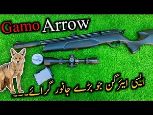 Gamo Arrow .22 Cal PCP Airgun|No Regultor PCP Airgun|Full Details In Hindi|AirHunter PK
