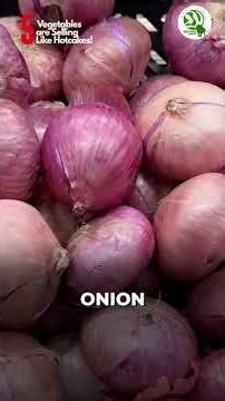 How to Start Vegetable Export Business 2026 | Step-by-Step Guide for Startup #startup