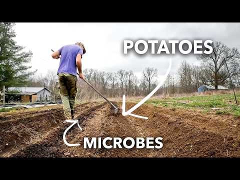 Planting Potatoes Like a Nerd