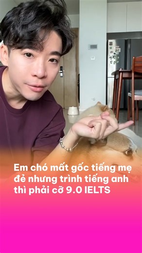 4.5M views · 95K reactions | Còn tui thì 30 chục nồi bánh chưng rồi vẫn bập bẹ từng từ tiếng anh 凉 #vlog #dailyvlog #funny #daily | Daily Cute Vlog | Facebook