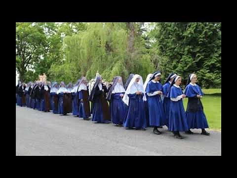 The History of the CMRI: Beginnings