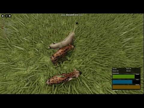 Hyenas and Wild Dog - Hunting Lioness #5 | Wild Savannah