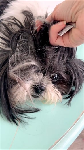 That’s Quite The Look!