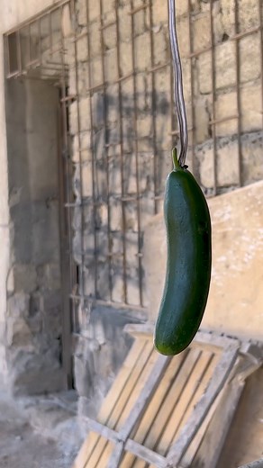 29K views · 468 reactions | Staple to Steel: Transforming Staples into a Sharp Blade #knifemaking #forging #sharpblade | Knives Project | Facebook