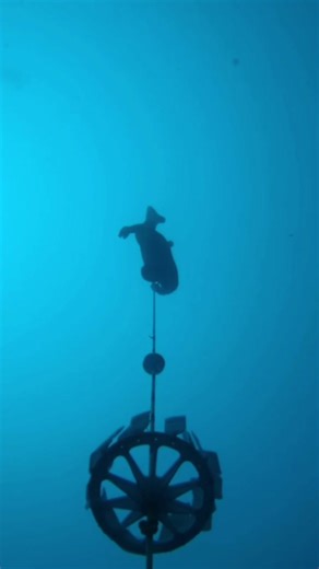 Training : -75 meters with small fins 👌 #apnee #freediving #apnea #guillaumenery #sea #ocean