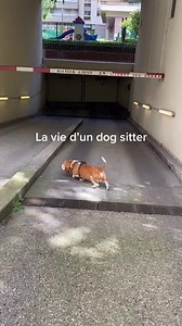 603K views · 10K reactions | L’épreuve du Mont Blanc #weee, #wee, #funny, #fails, #fail, #memes, #viral, #best, #againstbullying, #dog, #animals, #jump, #cat, #reels, #compilation, #slip, #weeememes, #meme, #instagram, #water, #yeet, #fly, #slide, #laugh, #broke, #pool, #bike, #scream, #bowling, #nuts | Tibod_ | Facebook