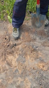 177K views · 775 reactions | Plant a Tree Sapling with These Simple Steps! | Earth Wonders | Facebook