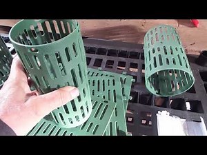 How to protect tree trunk from edge trimmer and animals