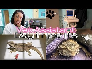 Day in the life | Veterinary Assistant ✨🐾