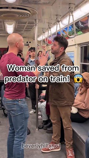 Woman Saved from Predator on Train