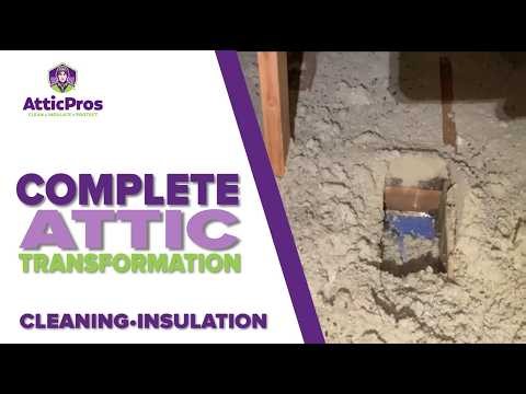 Complete Attic Transformation in 30 Seconds | Cleaning and Insulation