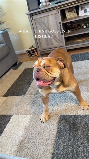 Just a bunch of nothing 🤣🤣