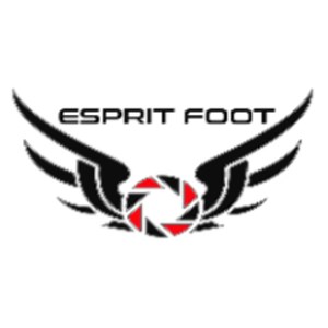EspritFoot - Twitch