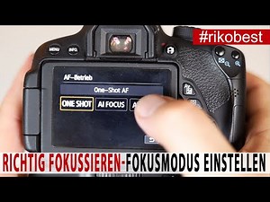 Richtig Fokussieren lernen - welchen Fokusmodus muss ich einstellen - Einfach Fotografieren lernen