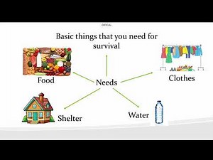 Needs and Wants | Economics Explained