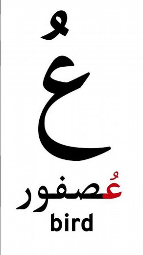 Learn the Arabic Alphabet: A Beginner's Guide|| Arabic Alphabet (Fast & Easy)