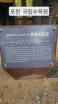 아름다운 대한민국 🇰🇷“여기 꼭 가세요”광릉수목원 #광릉요강꽃 #경기도 #포천 #국립수목원 #광릉수목원 #꽃 #flowers #korea #koreatravel #shorts