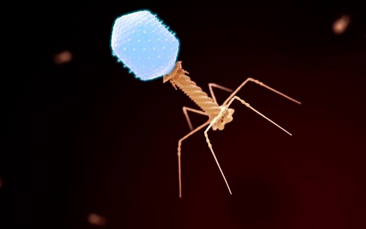 噬菌体：专门杀死细菌的超级病毒！