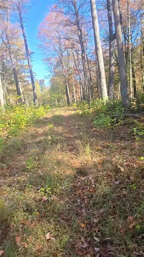 Mike Postlewait on Reels