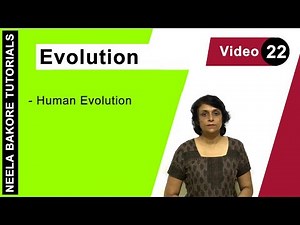 Evolution | NEET | Human Evolution| Neela Bakore Tutorials