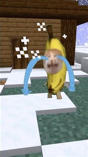 バナナ猫を寒さから守ろう #マイクラ #猫ミーム #bananacat