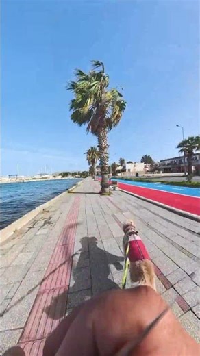 TURGUTREİS FIRTINALI BİR GUN1